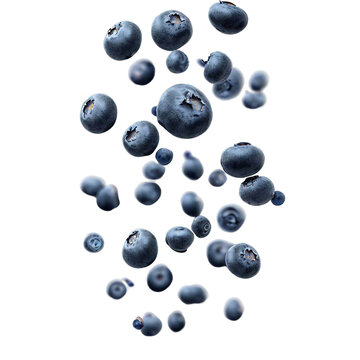 Falling blueberries isolated on transparent background