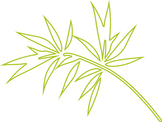 Fototapeta na wymiar Bamboo leaf outline icon