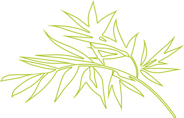 Naklejka premium Bamboo leaf outline icon