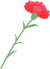 Carnation Icon