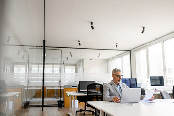 Serious concentrated mature businessman behind paper work, gray haired manager working with accounts and documents, man working in modern office, successful investor reviewing financial reports