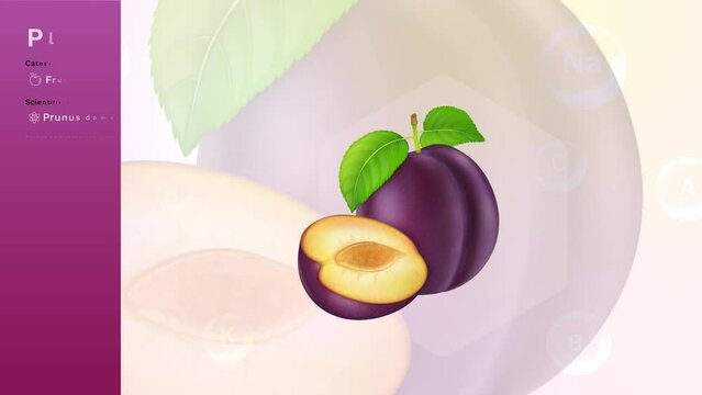 Plum Fruit and its Nutritional Properties with Minerals and Vitamins- Infographics Design