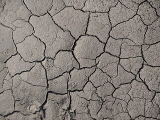 Dry cracked earth. Gray background with cracks.