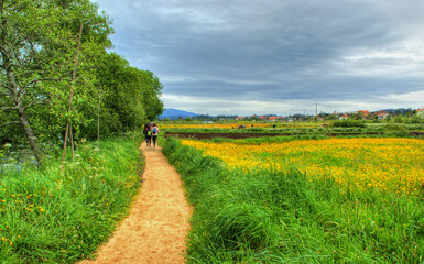 Portuguese Coastal Way in Ribadumia to Santiago de Compostela, Spain