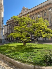 view of the cathedral