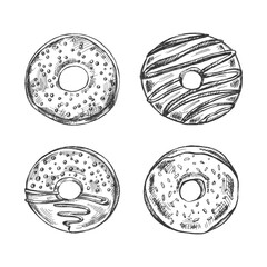 A hand-drawn sketch of a set of donuts. Top view. Vintage illustration.  Pastry sweets, dessert. Element for the design of labels, packaging and postcards.
