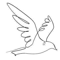 Fototapeta premium Bird line art