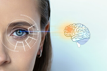 Female pupils and brain function, reveal a hidden signal about the work of your brain, light...