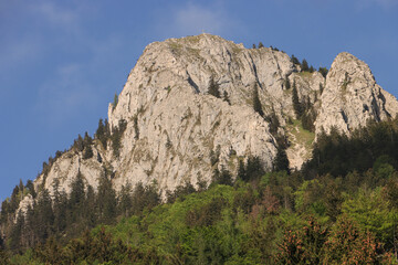 Fototapeta na wymiar Wanderziel in Sicht; Frauenkopf (1308m) über Fuschl im Salzkammergut