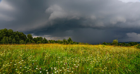 Dramatic sky with gray rainy clouds over flowering summer meadow before storm. Summer rural...