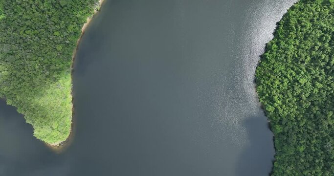 Sun reflections on river in Atlantic Forest, Brazil. Aerial birdseye descendant
