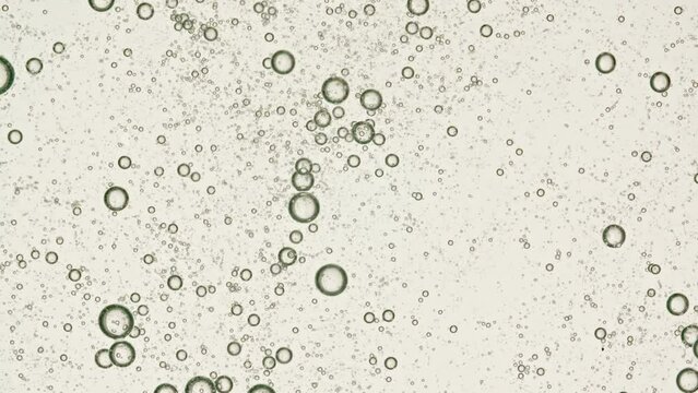 Transparent Cosmetic Gel Fluid With Molecule Bubbles and Oil Distribution on a White Background. Macro Shot of Natural Organic Cosmetics, Medicine. Production Close-up. Slow Motion. High quality 4k 