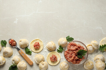 Cooking home food concept with raw dumplings