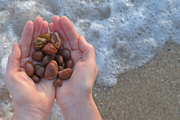 Brown pebbles in the woman's hand on the beach.