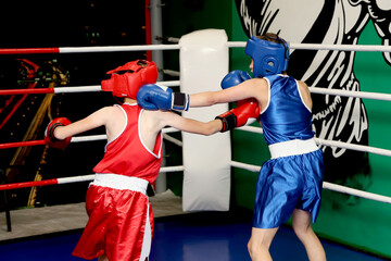 live fight in the ring