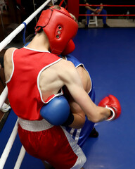 live fight in the ring