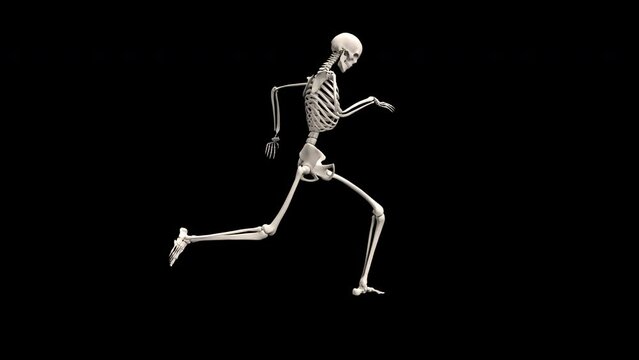 Running skeleton - 3d render looped with alpha channel.