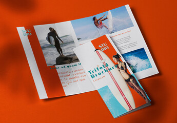 Business Trifold Brochure Layout