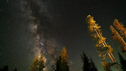 Timelapse of the milky way moving across the sky as campfire lights up trees.