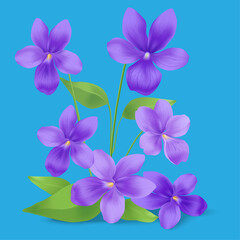 Fototapeta na wymiar blue beautiful flowers on a blue background