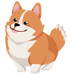 Corgi dog