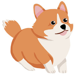 Corgi dog 