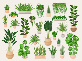 Set of houseplants in a pots for home, office, premises decor. Colorful vector collection of illustrations isolated on white background. Trendy home decor with plants, urban jungle.