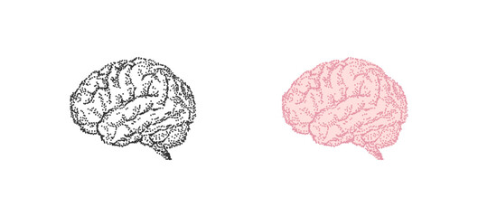 Human brain, anatomy organ drawn. Vector vintage dot illustration