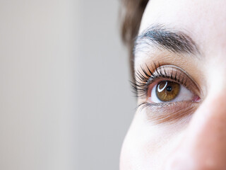 Close-up of a woman's eye after an eyelash lamination procedure. 