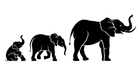 Elephant Growth Stages Silhouette, Large Mammal Illustration