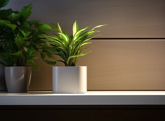 Plant on the table in a white pot. Illumination on the side next to it in the wall. Created with Generative AI technology.