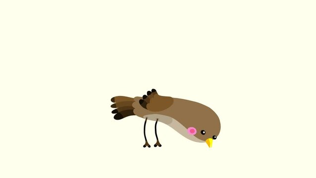 Nightingale bird brown cartoon animation character pecking eating isolated. Blinking eyes seamless loop behaviour. 
