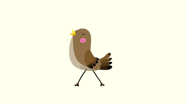 Nightingale bird brown cartoon animation character isolated non stop walking. Blinking eyes, opening bill, seamless loop behaviour.