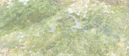 Stone of the green grass texture