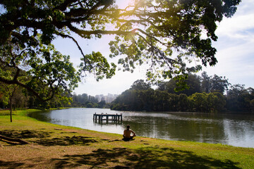 Sao Paulo, Brazil - May 26, 2023: Ibirapuera Park. Pa young man meditates through the green...