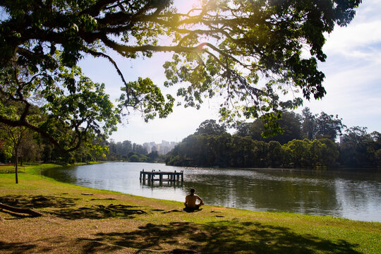 Sao Paulo, Brazil - May 26, 2023: Ibirapuera Park. Pa young man meditates through the green landscape