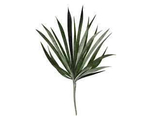 Tropical flowers and leaves bouquet watercolor illustration