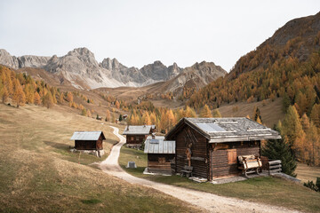 Incredible autumn view at Valfreda valley in Italian Dolomite Alps. Wooden cabins, yellow grass, orange larches forest and snowy mountains peaks on background. Dolomites, Italy. Landscape photography