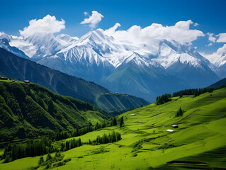 Obraz premium landscape in the mountains