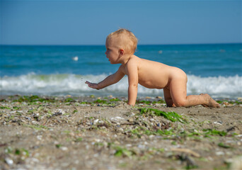 Baby walking on his knees on the beach