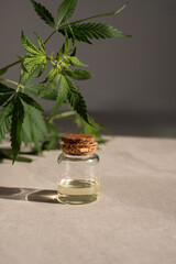 CBD oil hemp products. glass bottle with CBD oil, hemp leaves. Medicinal cannabis with extract oil. Cosmetics CBD oil