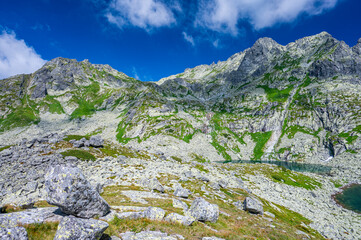 Summer landscape of the High Tatras. The Zabia Mieguszowiecka Valley, Mengusovska Dolina, Slovakia.