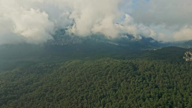 beautiful aerial landscape with huge mountain covered clouds and fog and cloudy dramatic sky over freen woods on slopes