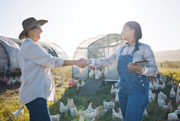Chickens, farm and women with handshake, sustainability and agreement with partnership, agriculture and cooperation. People, thank you and poultry farmers with tablet, shaking hands and countryside