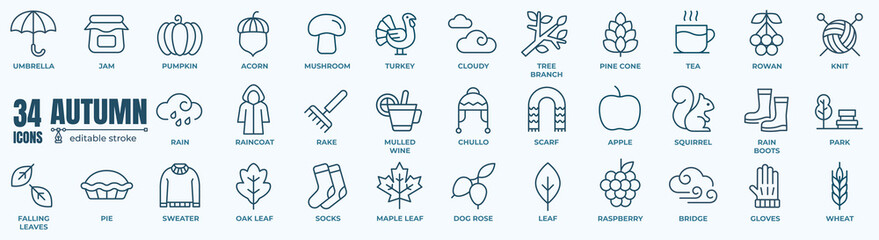 Set of autumn nature Icons. Simple line art style icons pack. Vector illustration