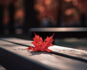 Obraz premium autumn leaves on a wooden table