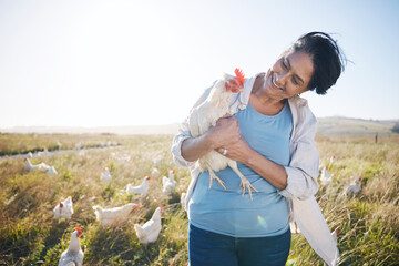 Farm, agriculture and a woman outdoor with a chicken for animal care, development and small business. Farming, sustainability and farmer person with organic or free range produce in countryside © Wesley/peopleimages.com
