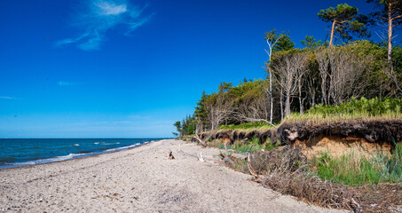 Fototapeta premium German Baltic Sea near Graal-Müritz