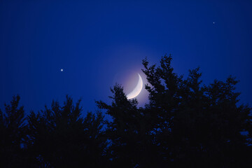 Waxing crescent Moon, planets and stars rising behind tree silhouettes.