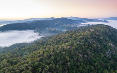 Naklejka premium Landscape in the morning at Pha Muak mountain, border of Thailand and Laos, Loei province, Thailand.